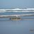 Jeannette M. Williamson's profile image