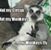 Samantha Horning's profile image
