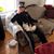 Andrea Brennan's profile image