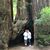 Debbie VanFossen Ramirez's profile image