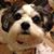 Doni Brooks's profile image
