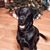 Kelly Trott Kitts's profile image