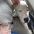 Sandy Johnson Krause's profile image