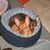 Sue Dade's profile image