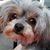 Angi Clowdus Berry's profile image