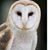 Linda Carlile's profile image