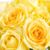 Linda Halbakken's profile image
