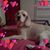 Jessica Lillo Alaniz's profile image