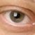 Brian Carlock's profile image