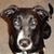 Amy Simpson's profile image