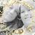 Sherry Cotton Mays's profile image