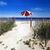 Pam Brown Kemp's profile image