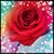 Shelly Friend's profile image