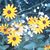 Ashley M. Shipley's profile image