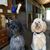 Sherry Morris's profile image