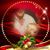 Sally Morton's profile image
