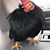 Teena Ahlgrim-Jackson's profile image