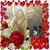 Diana Yousef Choram's profile image