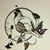 Donna Nelson's profile image