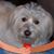 Ann Paula Wyman's profile image