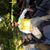 Jose E Vera's profile image