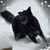 Cynthia Pring's profile image