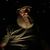 Ryan Bastin's profile image