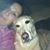 Axle Foley's profile image