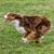 Janet Fertig's profile image