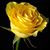 Stephany Baldwin's profile image