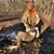Devan Stickrod's profile image