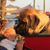 Diane Jen Howard's profile image