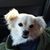 Judy Cully's profile image