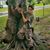 Brittany Beyer's profile image