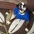 Mary Mcwilliams's profile image