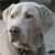 Mike Mclaurin's profile image
