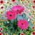 Debra Veach's profile image