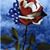 Christina Stevens's profile image