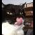 Samantha Heflin's profile image