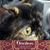 Anne Chrisman's profile image