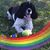 Peretz Hirshbein's profile image