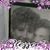 Christine Alibrando Whitener's profile image