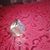 Annie Wadley's profile image