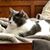 Carolyn Clark's profile image
