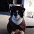 Becki Ray's profile image