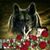 Patricia Smith's profile image