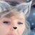 Pam Tresler Anderson's profile image