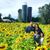 Jessica Bindert's profile image