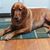 Bruce Littlefield's profile image