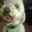 Nora Sneberger's profile image